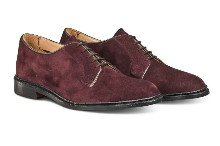 Robert Derby Shoe - Barolo Suede